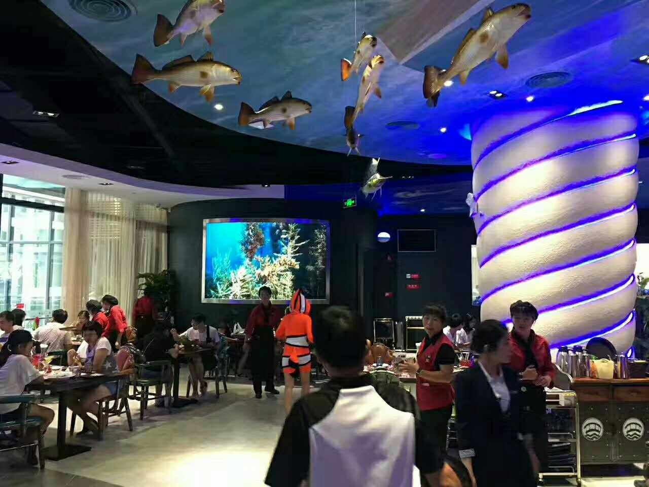 LED電子屏廣泛應用音樂餐廳